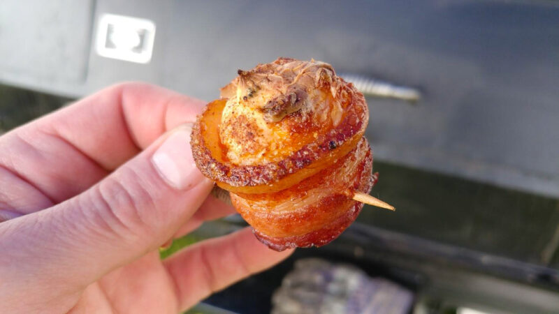 Wagyu Brisket, Pork Belly, Ribs, and Tasty Appetizers on Meadow Creek PR72T Pig Roaster Trailer