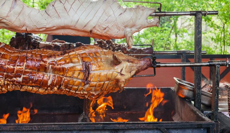 Whole hotsell pig rotisserie